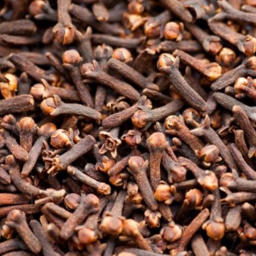 Clove Bud India Essential Oil 3